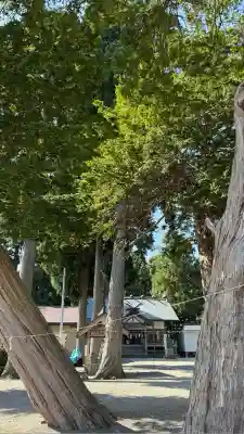 意冨比神社(北海道)