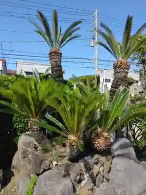 九品寺(神奈川県)