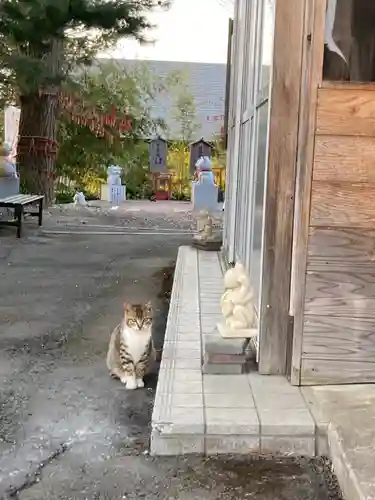 鹿角八坂神社の動物