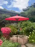 一乗寺の{uncategorized: "未分類", other: "その他", undefined: "問題あり", building: "その他建物", grave: "お墓", sacred_gate: "鳥居", guardian: "狛犬", statue: "像", buddha: "仏像", history: "歴史", nature: "自然", garden: "庭園", animal: "動物", pagoda: "塔", temizu: "手水舎", mountain_gate: "山門・神門", sanctuary: "本殿・本堂", subordinate: "末社・摂社", art: "芸術", scenery: "景色", jizo: "地蔵", ema: "絵馬", goshuin: "御朱印", omikuji: "おみくじ", items: "授与品その他", amulet: "お守り", goshuincho: "御朱印帳", eats: "食事", festival: "お祭り", votive_dance: "神楽", shichigosan: "七五三参", wedding: "結婚式", experience: "体験その他", initially: "初詣", around: "周辺", anti_infection: "感染症対策"}