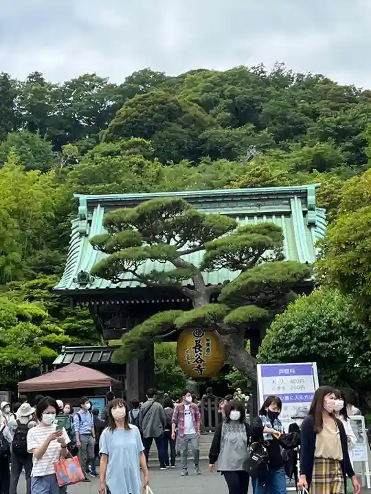 長谷寺(神奈川県)