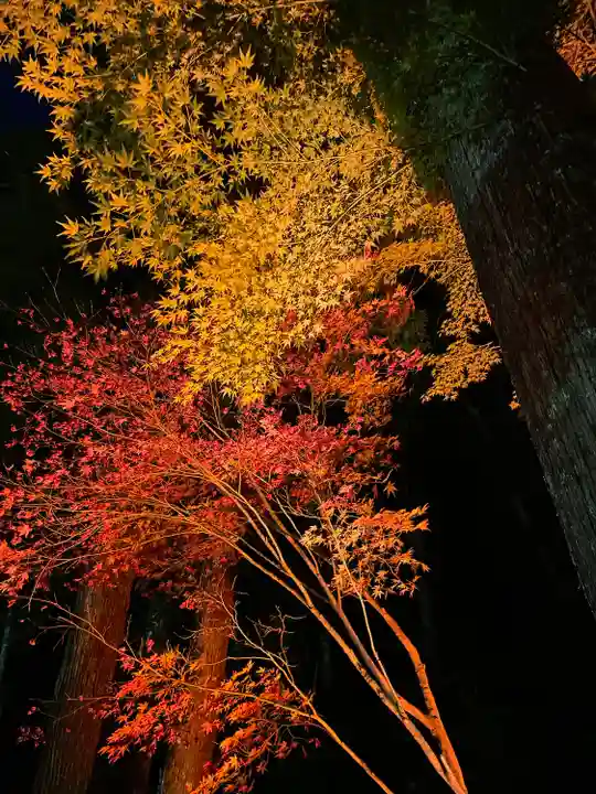 尊永寺(静岡県)