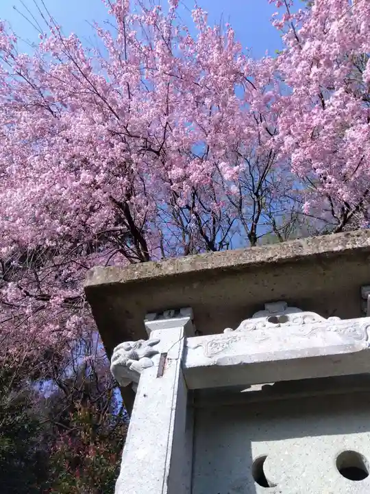 熊野神社(福井県)