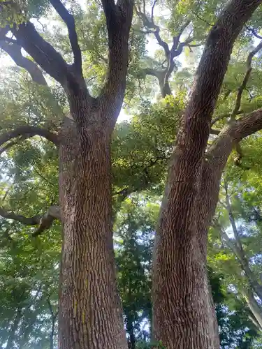 三島八幡神社(福島県)