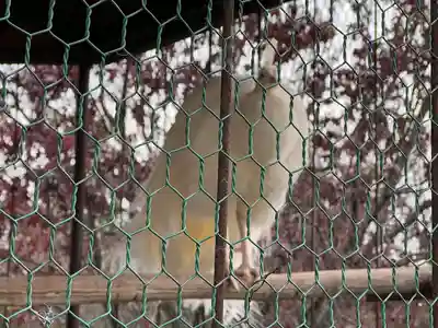進雄神社(群馬県)
