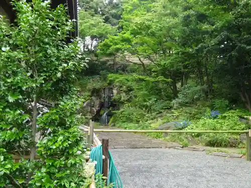 妙蓮寺の庭園