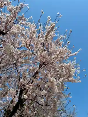 苗穂神社(北海道)