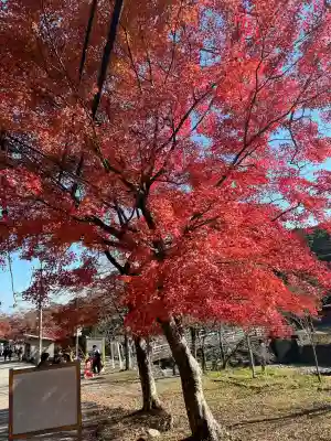 養老神社(岐阜県)