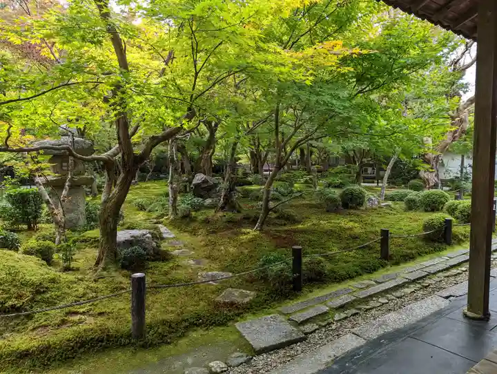 圓光寺(京都府)