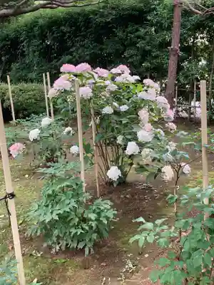 建長寺(神奈川県)