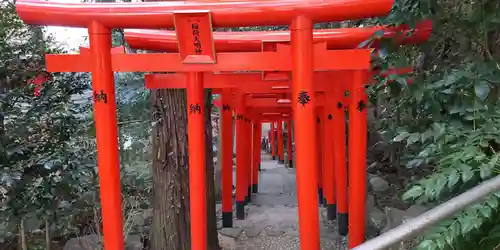 白笹稲荷神社の鳥居