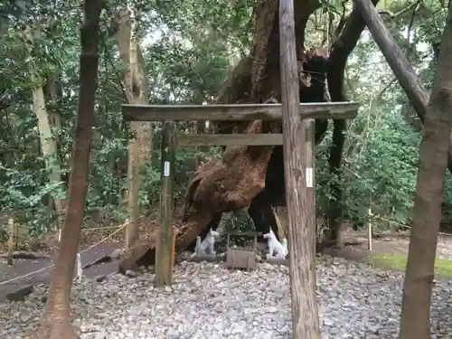 月夜見宮（豊受大神宮別宮）の鳥居