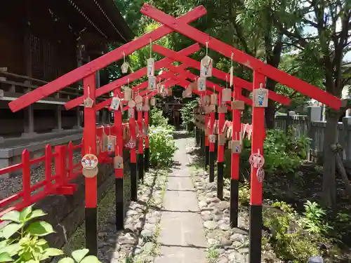 朝日氷川神社の絵馬