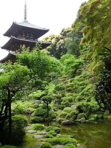 當麻寺西南院の庭園