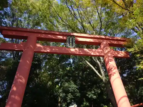 世田谷八幡宮の鳥居