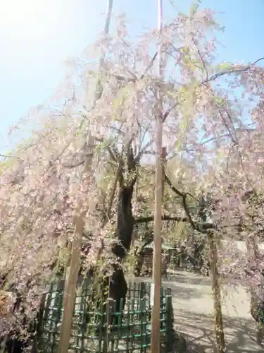 大國魂神社の庭園