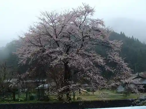 寺尾観音堂の庭園