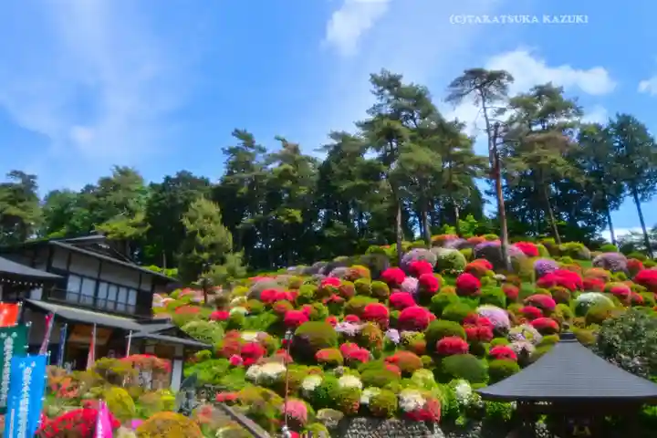 塩船観音寺(東京都)