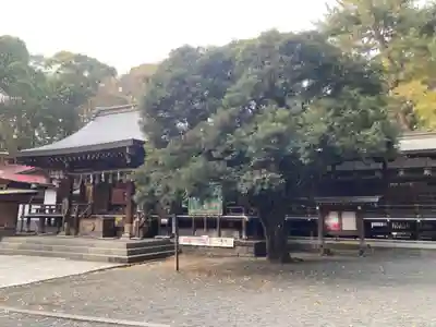平塚八幡宮(神奈川県)