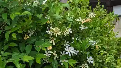 東北院(京都府)