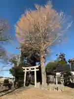 面足神社(千葉県)