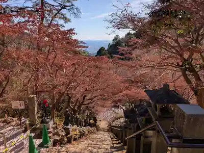大山寺(神奈川県)