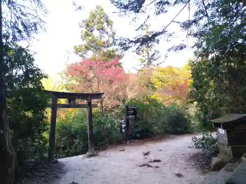 四宮神社の鳥居