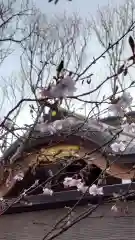 相馬神社の自然