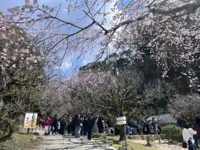 太宰府天満宮の{uncategorized: "未分類", other: "その他", undefined: "問題あり", building: "その他建物", grave: "お墓", sacred_gate: "鳥居", guardian: "狛犬", statue: "像", buddha: "仏像", history: "歴史", nature: "自然", garden: "庭園", animal: "動物", pagoda: "塔", temizu: "手水舎", mountain_gate: "山門・神門", sanctuary: "本殿・本堂", subordinate: "末社・摂社", art: "芸術", scenery: "景色", jizo: "地蔵", ema: "絵馬", goshuin: "御朱印", omikuji: "おみくじ", items: "授与品その他", amulet: "お守り", goshuincho: "御朱印帳", eats: "食事", festival: "お祭り", votive_dance: "神楽", shichigosan: "七五三参", wedding: "結婚式", experience: "体験その他", initially: "初詣", around: "周辺", anti_infection: "感染症対策"}