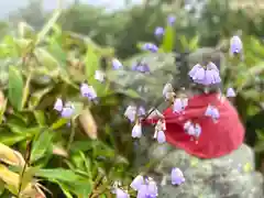 飯縄神社 奥社の自然