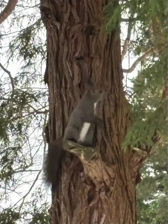 由仁神社(北海道)