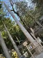 諏訪大社(長野県)