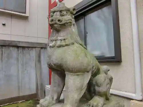 吉原神社の狛犬