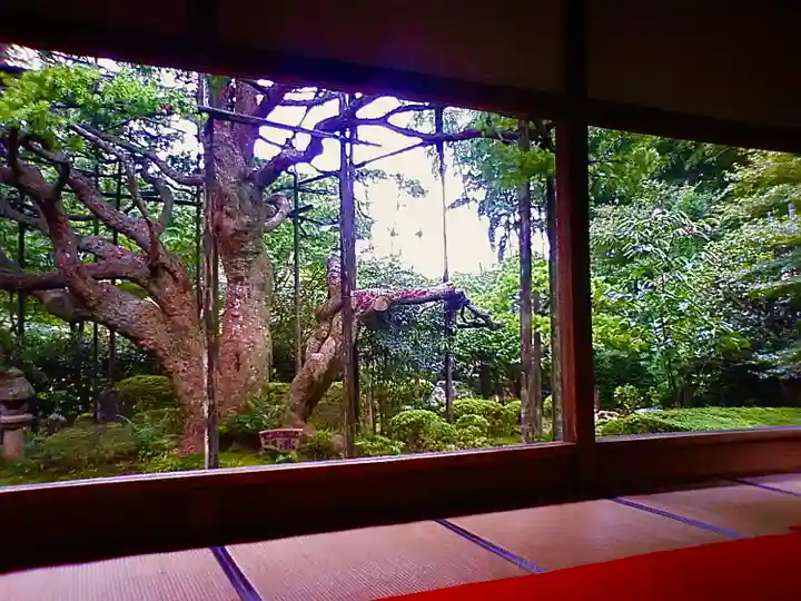 宝泉院(京都府)