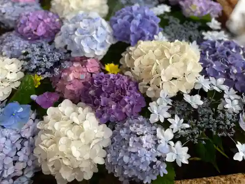 鶴岡八幡宮の手水舎