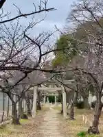 大依羅神社の鳥居