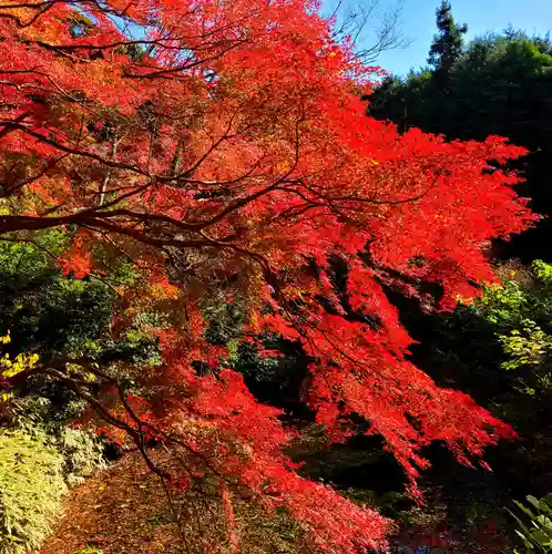 普門寺(切り絵御朱印発祥の寺)(愛知県)