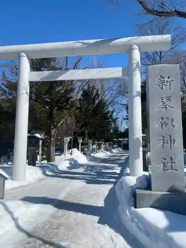 新琴似神社の鳥居