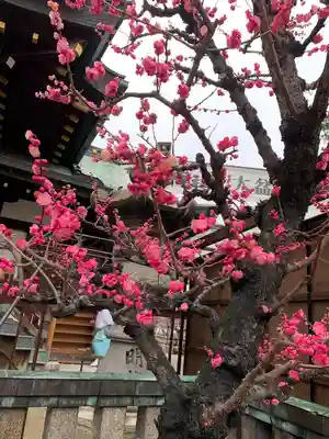 大阪天満宮(大阪府)