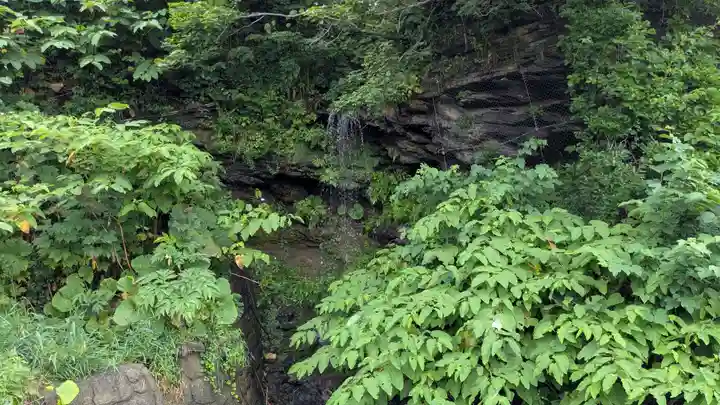 金比羅神社の自然
