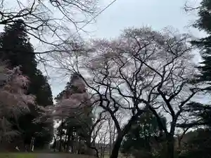 大宮温泉神社(栃木県)(2024年04月06日(土) 06時43分53秒投稿)