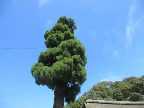 大神神社(奈良県)