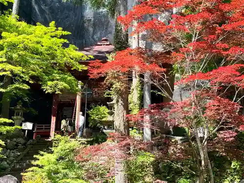 橋立堂(埼玉県)
