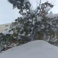 彌彦神社 (伊夜日子神社)(北海道)