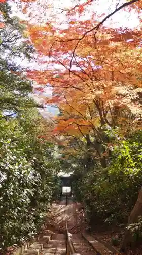 観音寺（山崎聖天）の自然