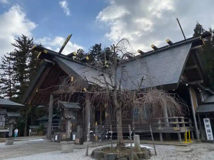 開成山大神宮の本殿・本堂