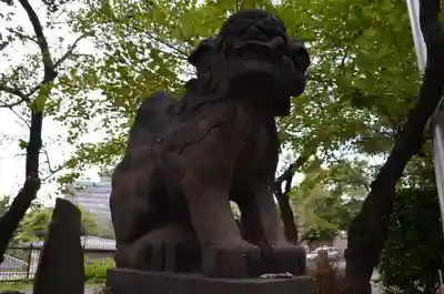 市谷亀岡八幡宮の狛犬