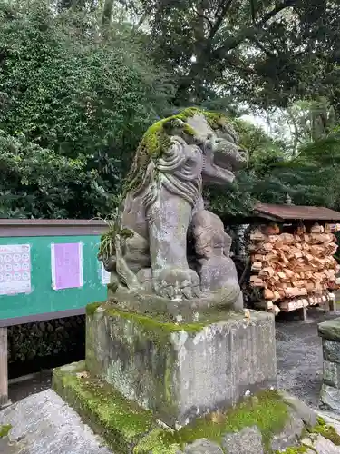 谷保天満宮(東京都)