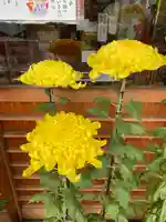 菊名神社(神奈川県)