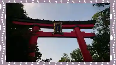 富岡八幡宮(東京都)